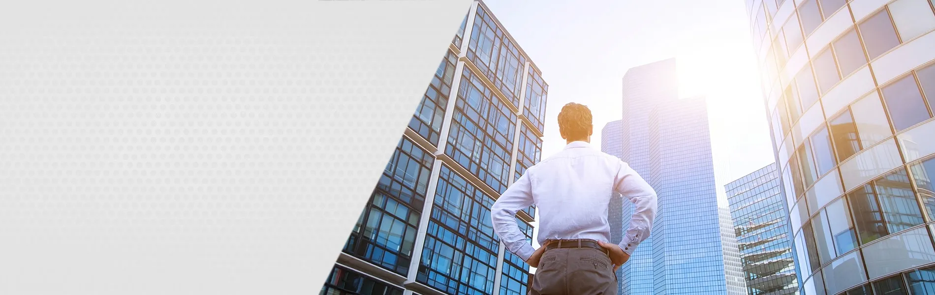 Siz işinizi büyütmekle ilgilenin !